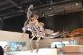 Stegosaurus 1022 W.jpg