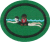 Water Safety Instructor AY Honor.png