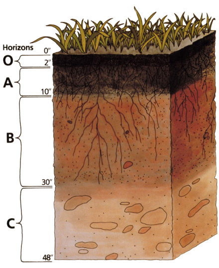 Adventist Youth Honors Answer Book/Nature/Soils - Pathfinder Wiki