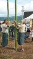 Bamboo flag pole.jpg