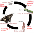 Butterfly Christian.png