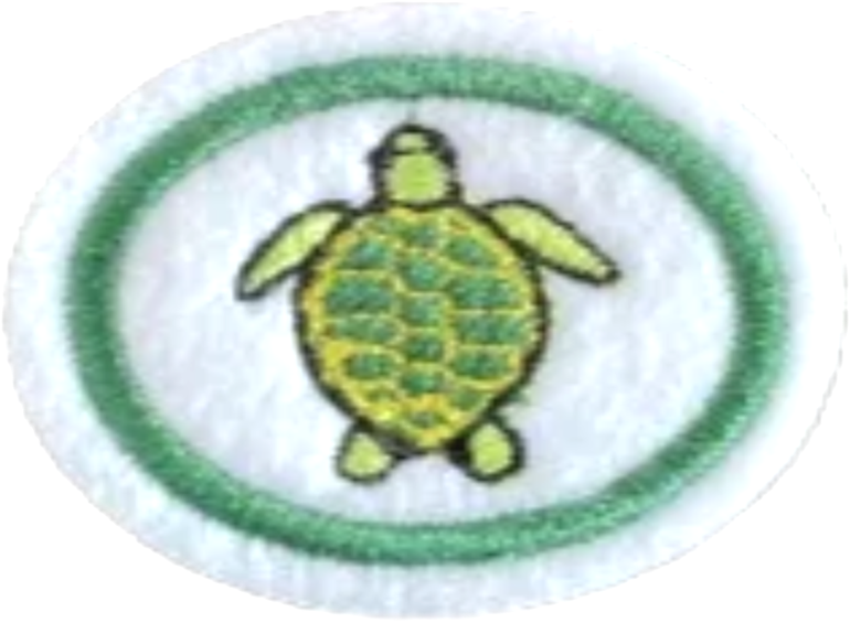 File:Chelonians AY Honor.png