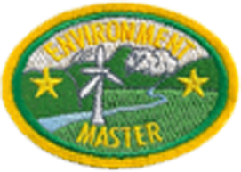 Environment Master Award.png