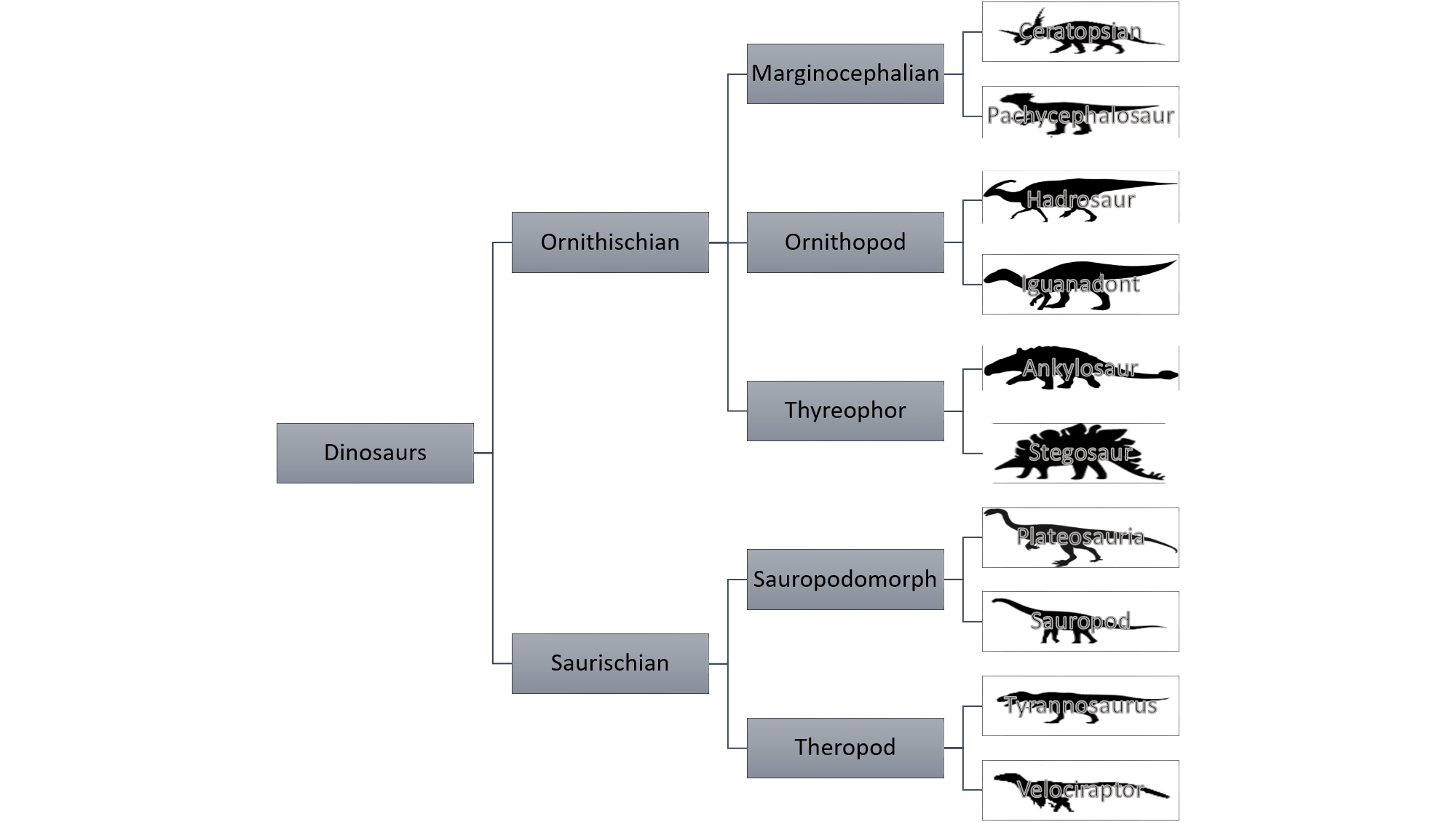 Dinosaur Tree.png