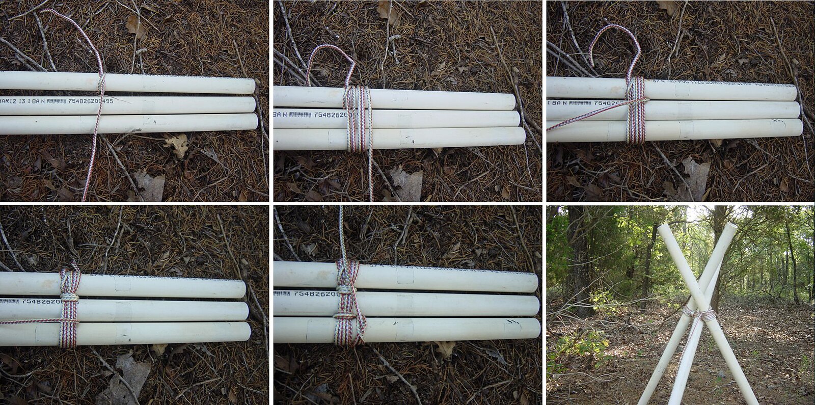 FileShearlashing3pole.jpg Pathfinder Wiki