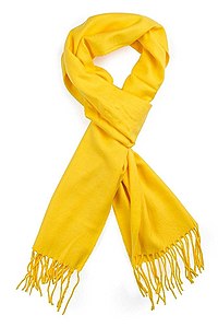 Yellow scarf.jpg