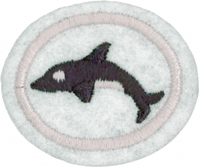 AY Honor Marine Mammals Requirements - Pathfinder Wiki