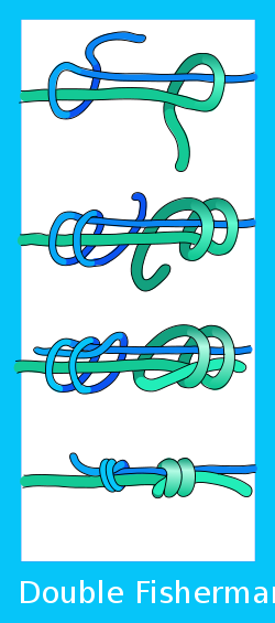Double Fisherman's knot.svg