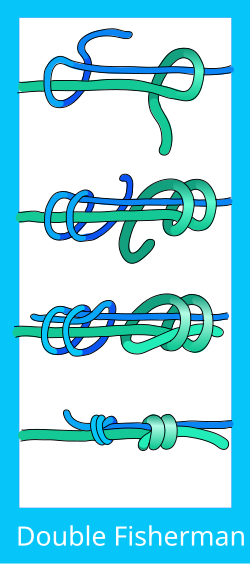 Double Fisherman's knot.svg