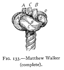 Matthew Walker knot.gif
