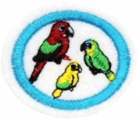 Macaws, Parrots and Parakeets AY Honor.png