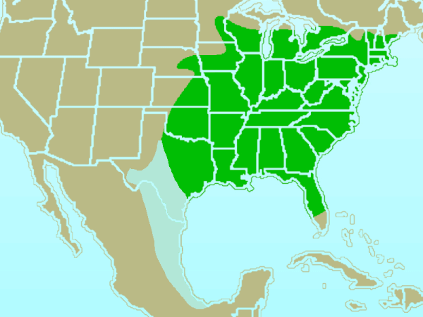 Field Guidebirdseastern Us And Canada Pathfinder Wiki 6463