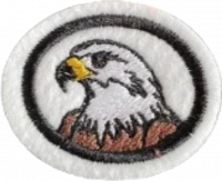 Raptors AY Honor (SAD).png