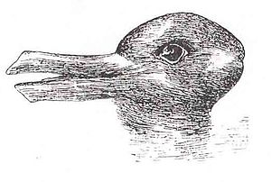 Ilusión de pato/conejo