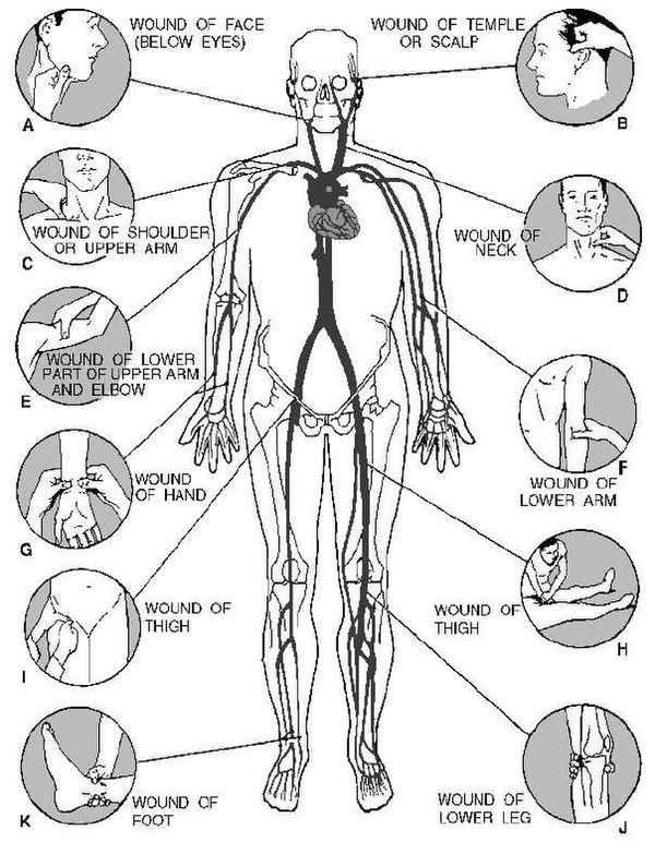 AY Honor First Aid, Basic Answer Key Pathfinder Wiki