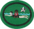 Water Safety Instructor Advanced AY Honor.png