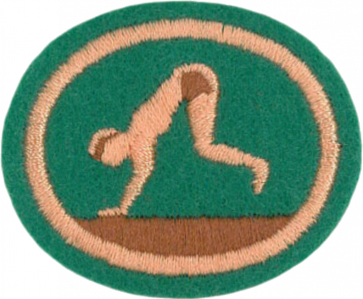 File:Tumbling and Balancing AY Honor.png