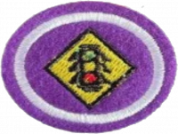 Traffic Safety AY Honor.png