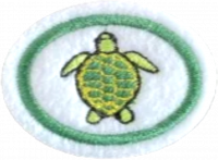 Marine Turtles AY Honor.png