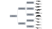 Dinosaur Tree.png