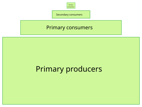 Ecological pyramid.svg