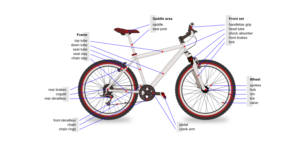 AY Honor Cycling Answer Key used by General Conference - Pathfinder Wiki