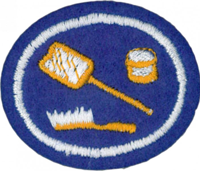 File:Christian Grooming and Manners AY Honor.png
