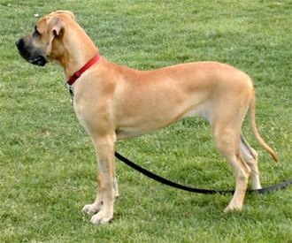 Oola - 6 months.jpg
