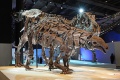 Denversaurus 1047 W.jpg