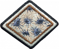 Petoskey Stone AY Honor.png