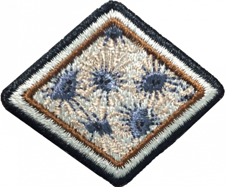 File:Petoskey Stone AY Honor.png