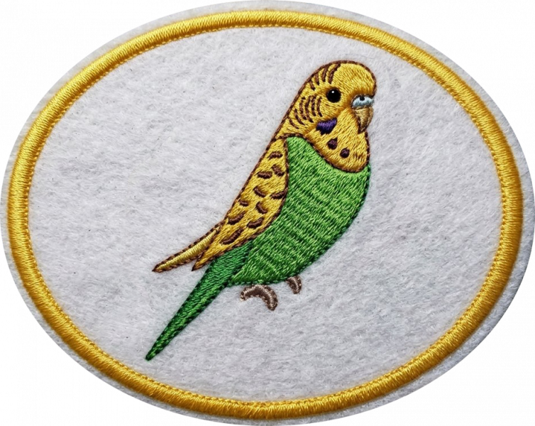 File:Budgerigars AY Honor.png
