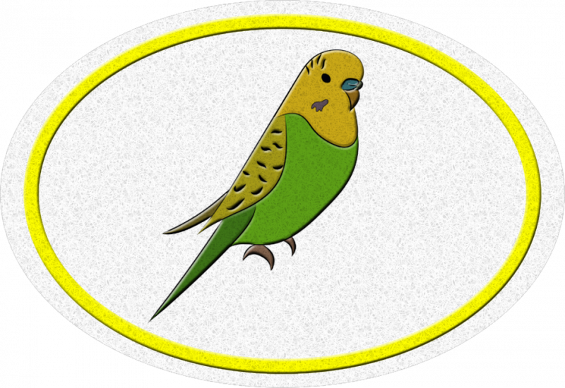 File:Budgerigars AY Honor.png