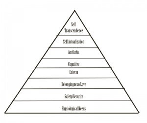MaslowPyramid8.jpg