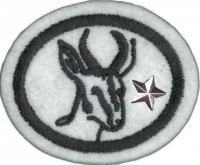 Antelopes Advanced AY Honor.png