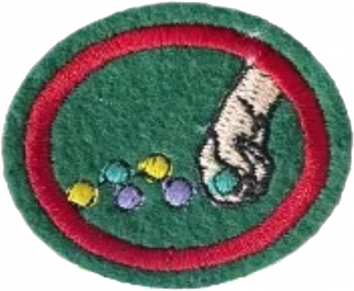 File:Marbles AY Honor.png