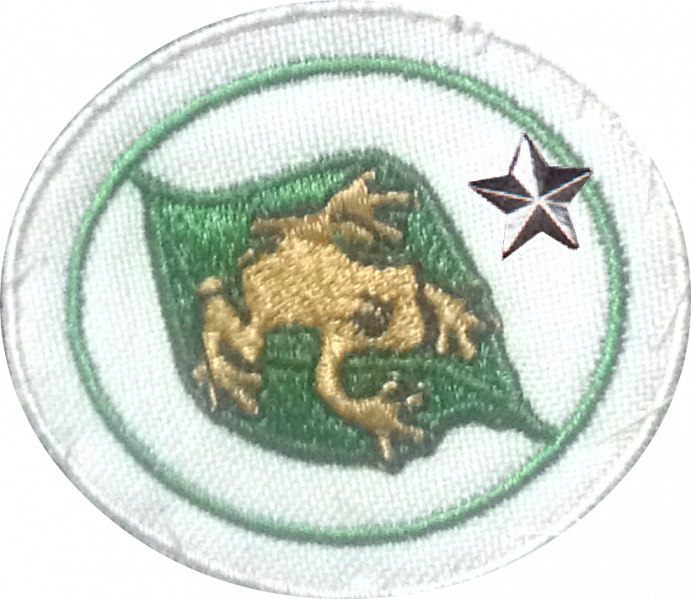 File:Coquí Honor Advanced AY Honor.png