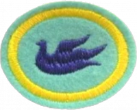 17 - Spiritual Gifts and Ministries AY Honor.png