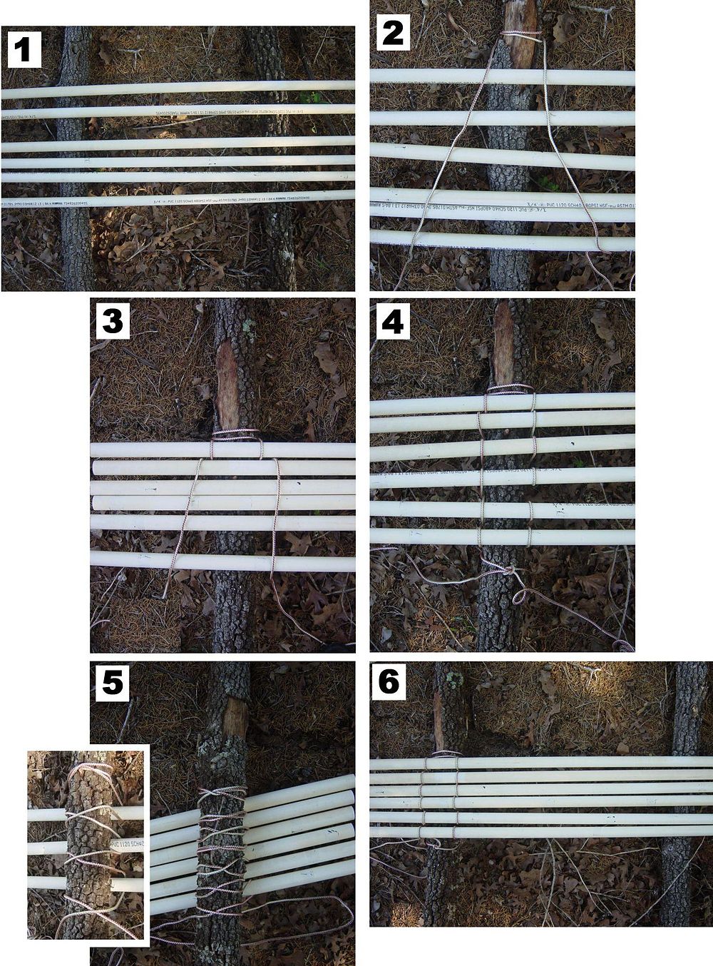 AY Honors/Lashing/Continuous Pathfinder Wiki
