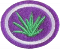Medicinal Plants AY Honor.png