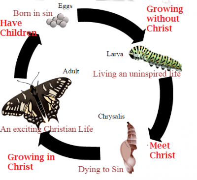 https://wiki.pathfindersonline.org/images/thumb/f/f6/Butterfly_Christian.png/400px-Butterfly_Christian.png