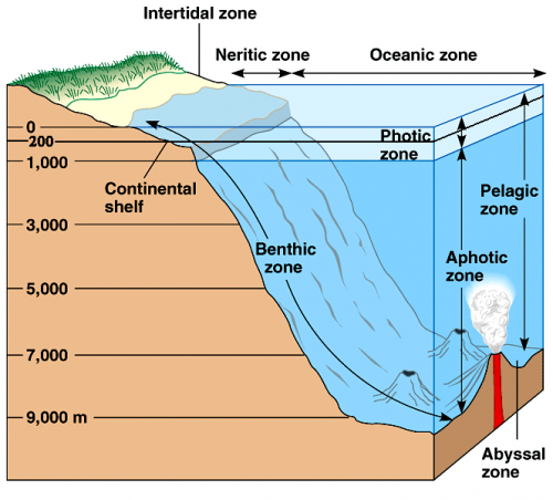 Oceanic zones